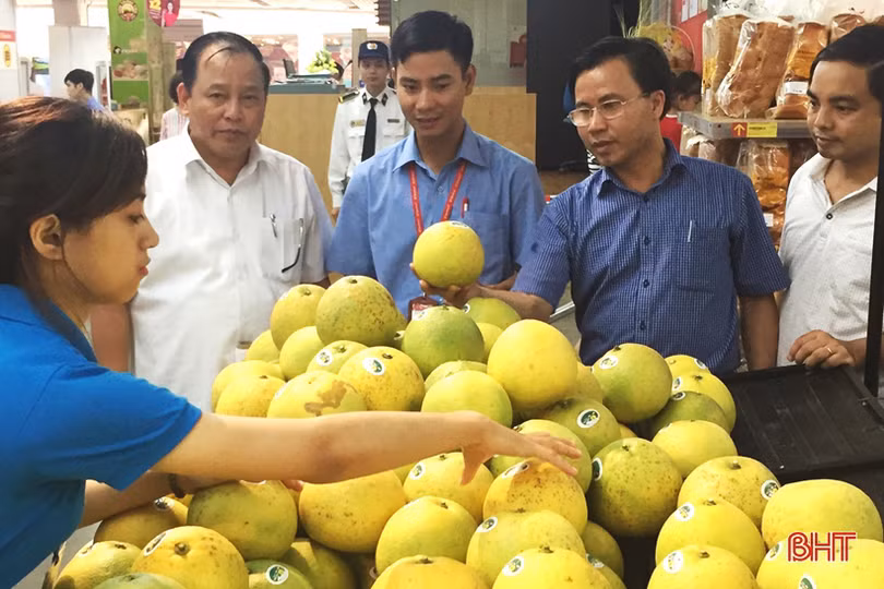 Bưởi Phúc Trạch được Liên minh Châu Âu bảo hộ chỉ dẫn địa lý