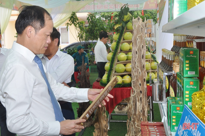 Ấn tượng gian hàng trưng bày sản phẩm nông nghiệp tiêu biểu của Hương Khê