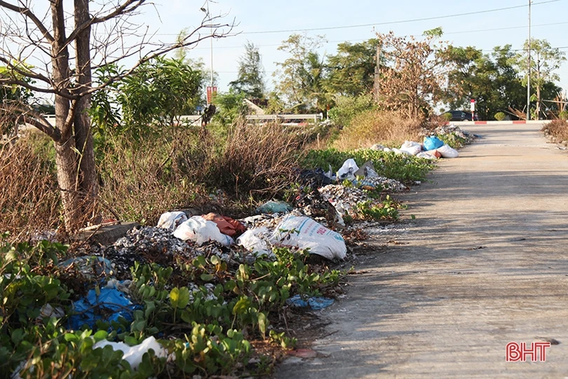 Nhếch nhác trên tuyến đê phía Bắc thành phố Hà Tĩnh
