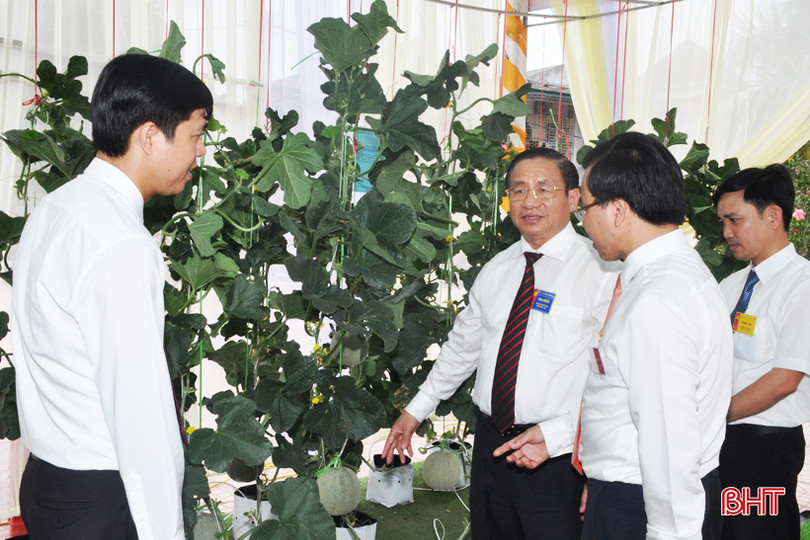 Ấn tượng gian hàng trưng bày sản phẩm nông nghiệp tiêu biểu của Hương Khê