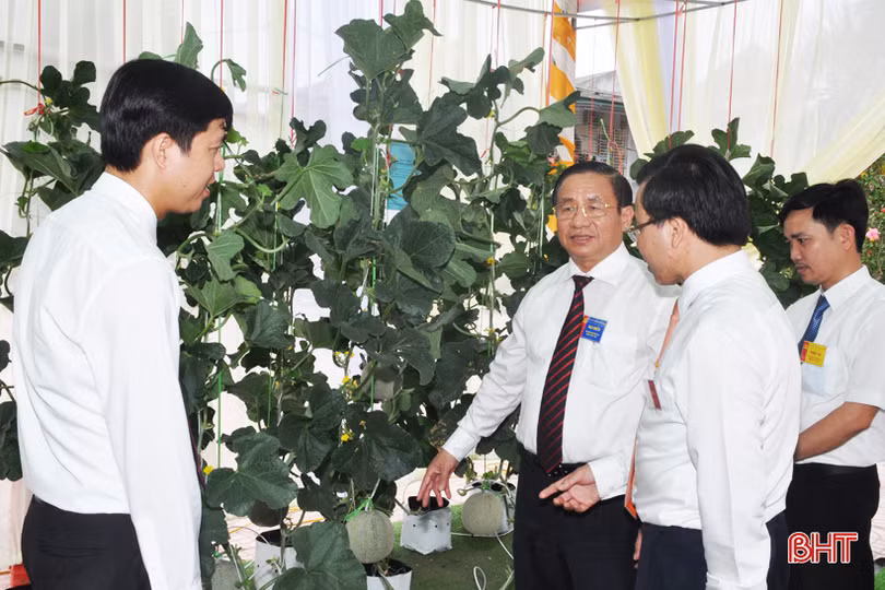 Ấn tượng gian hàng trưng bày sản phẩm nông nghiệp tiêu biểu của Hương Khê