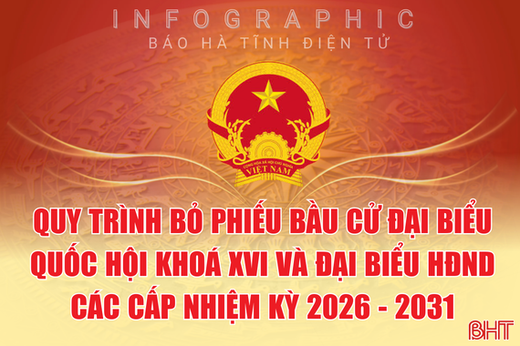 [Infographic] Quy trình bỏ phiếu bầu cử ĐBQH khoá XVI và đại biểu HĐND các cấp nhiệm kỳ 2026 - 2031