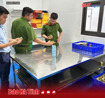 Thu giữ hơn 23.000 sản phẩm yến chưng giả