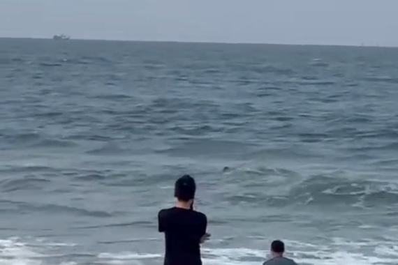 Người đàn ông lao xuống biển cứu du khách bị chuột rút