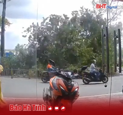 Cây to bật gốc, đè lên người tham gia giao thông