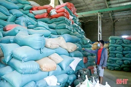 Hơn 28.000 hộ dân ở Hà Tĩnh được nhận gạo hỗ trợ dịp tết Bính Ngọ