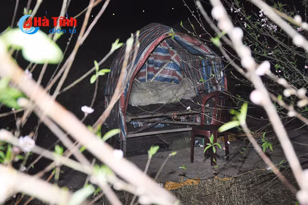 trang dem canh quat trong dao trong gia ret