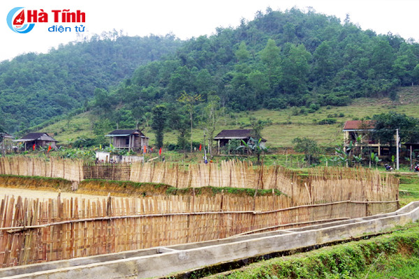 photo vui xuan som tren ban rao tre