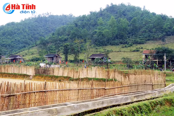 photo vui xuan som tren ban rao tre