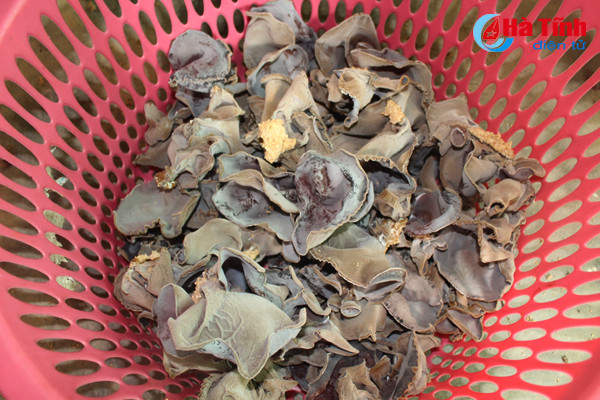 nam thach tan hoi ha vao vu tet