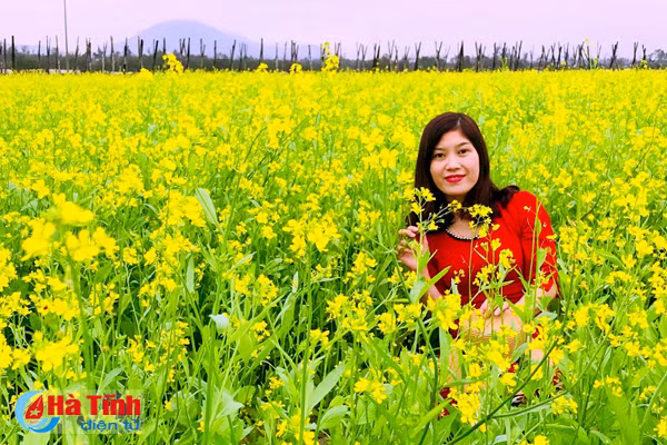 dong noi thoi mien du khach voi dong cai vang tuyet dep