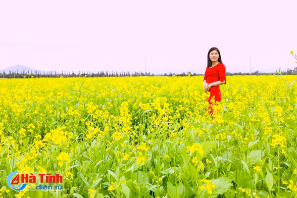 dong noi thoi mien du khach voi dong cai vang tuyet dep