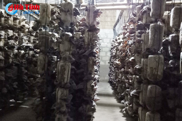 nam thach tan hoi ha vao vu tet