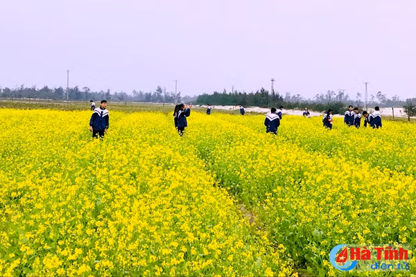 dong noi thoi mien du khach voi dong cai vang tuyet dep