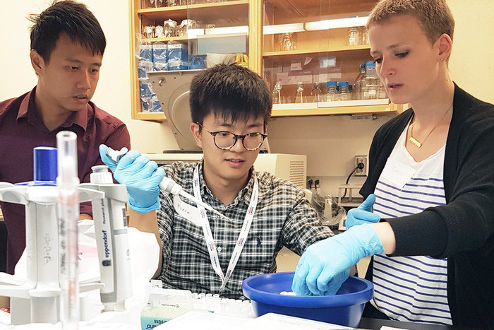 xep hang 350 dai hoc chau a viet nam khong co truong nao