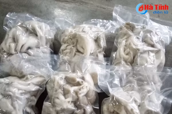 nam thach tan hoi ha vao vu tet