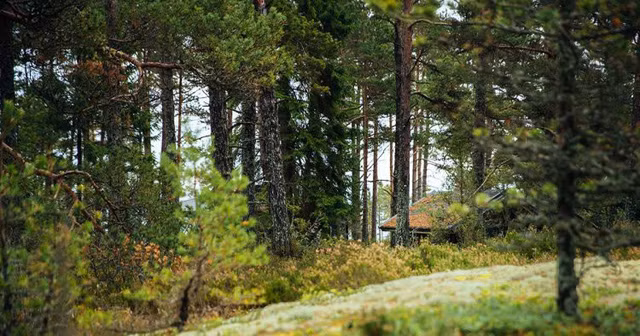 den hon dao dac biet noi dan ong bi cam tiet