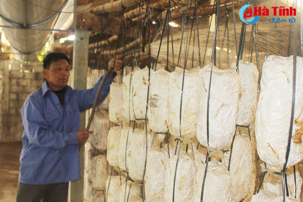 nam thach tan hoi ha vao vu tet