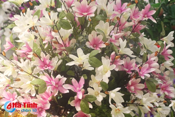 nhung loai hoa mang y nghia phu quy trong dip tet