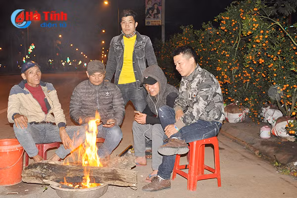 trang dem canh quat trong dao trong gia ret