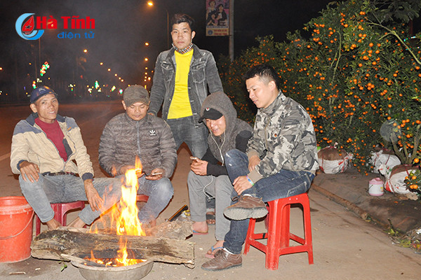 trang dem canh quat trong dao trong gia ret
