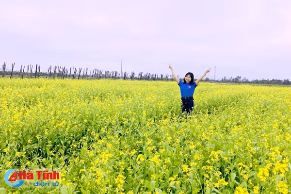 dong noi thoi mien du khach voi dong cai vang tuyet dep