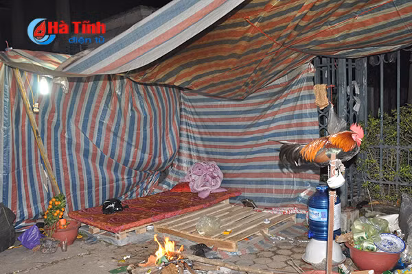 trang dem canh quat trong dao trong gia ret