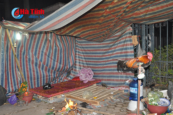 trang dem canh quat trong dao trong gia ret