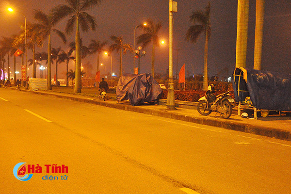 trang dem canh quat trong dao trong gia ret