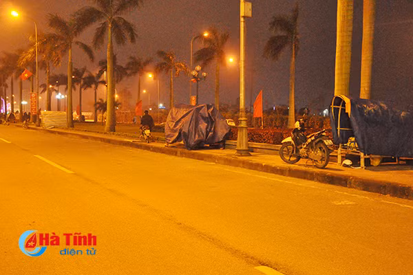 trang dem canh quat trong dao trong gia ret