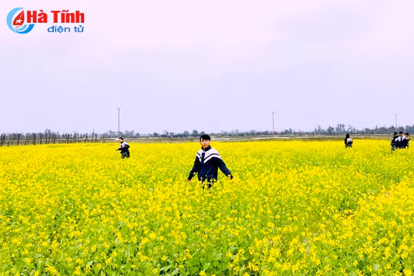 dong noi thoi mien du khach voi dong cai vang tuyet dep