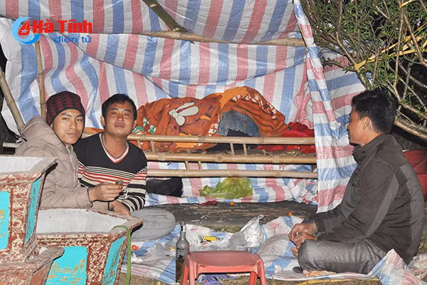 trang dem canh quat trong dao trong gia ret