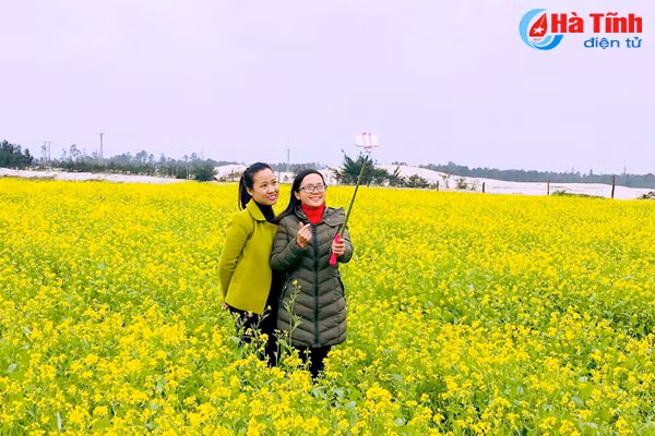 dong noi thoi mien du khach voi dong cai vang tuyet dep