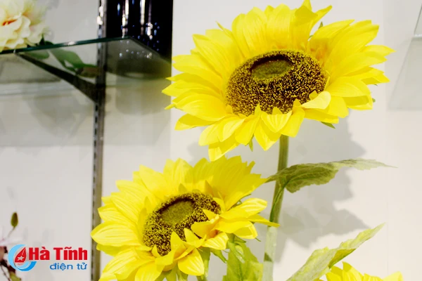 nhung loai hoa mang y nghia phu quy trong dip tet