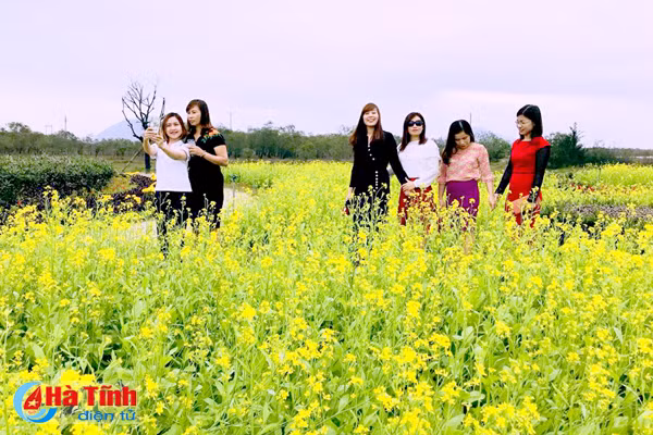 dong noi thoi mien du khach voi dong cai vang tuyet dep