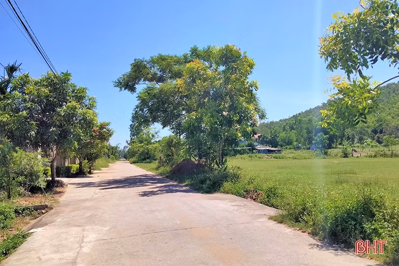 Nữ sinh trường làng đỗ thủ khoa môn Sinh học Trường THPT Chuyên Hà Tĩnh