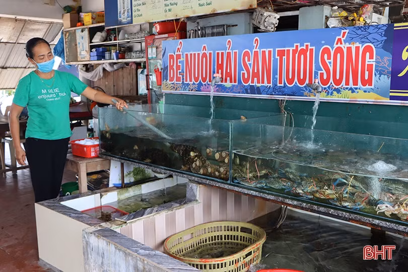 Hà Tĩnh: Nhà hàng, khách sạn tại Khu du lịch Thiên Cầm hoạt động trở lại