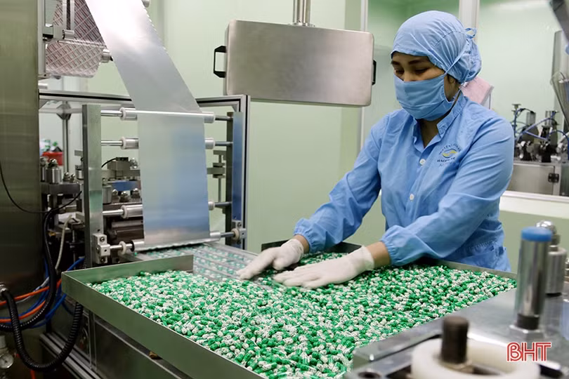 Doanh nghiệp Hà Tĩnh quyết tâm thực hiện “mục tiêu kép”