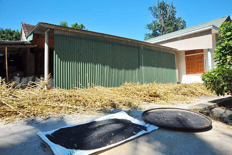 Nông dân Hương Khê phấn khởi thu hoạch sớm vừng hè thu