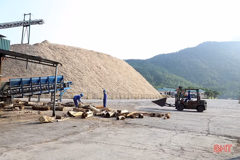 Doanh nghiệp Hà Tĩnh quyết tâm thực hiện “mục tiêu kép”