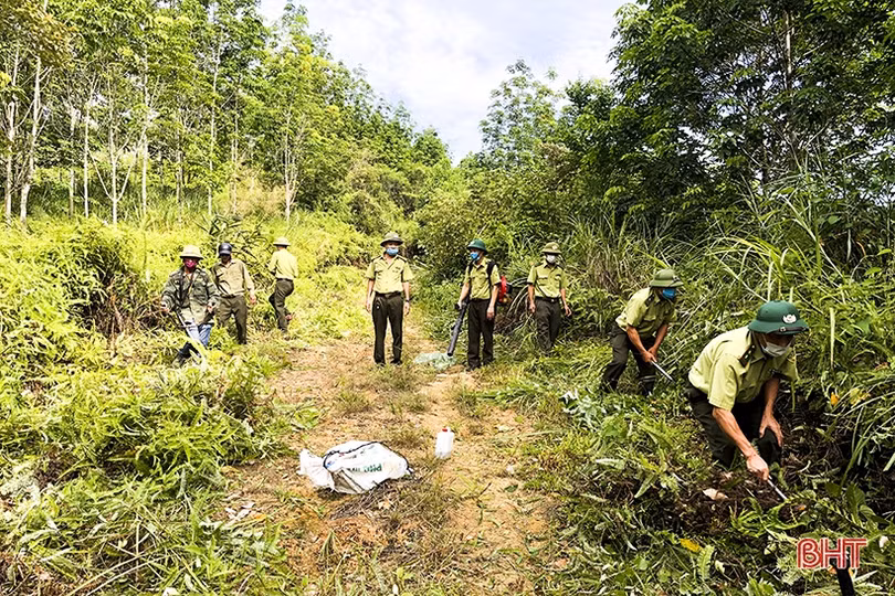 Giữ rừng xanh trong nắng nóng ở Đức Thọ