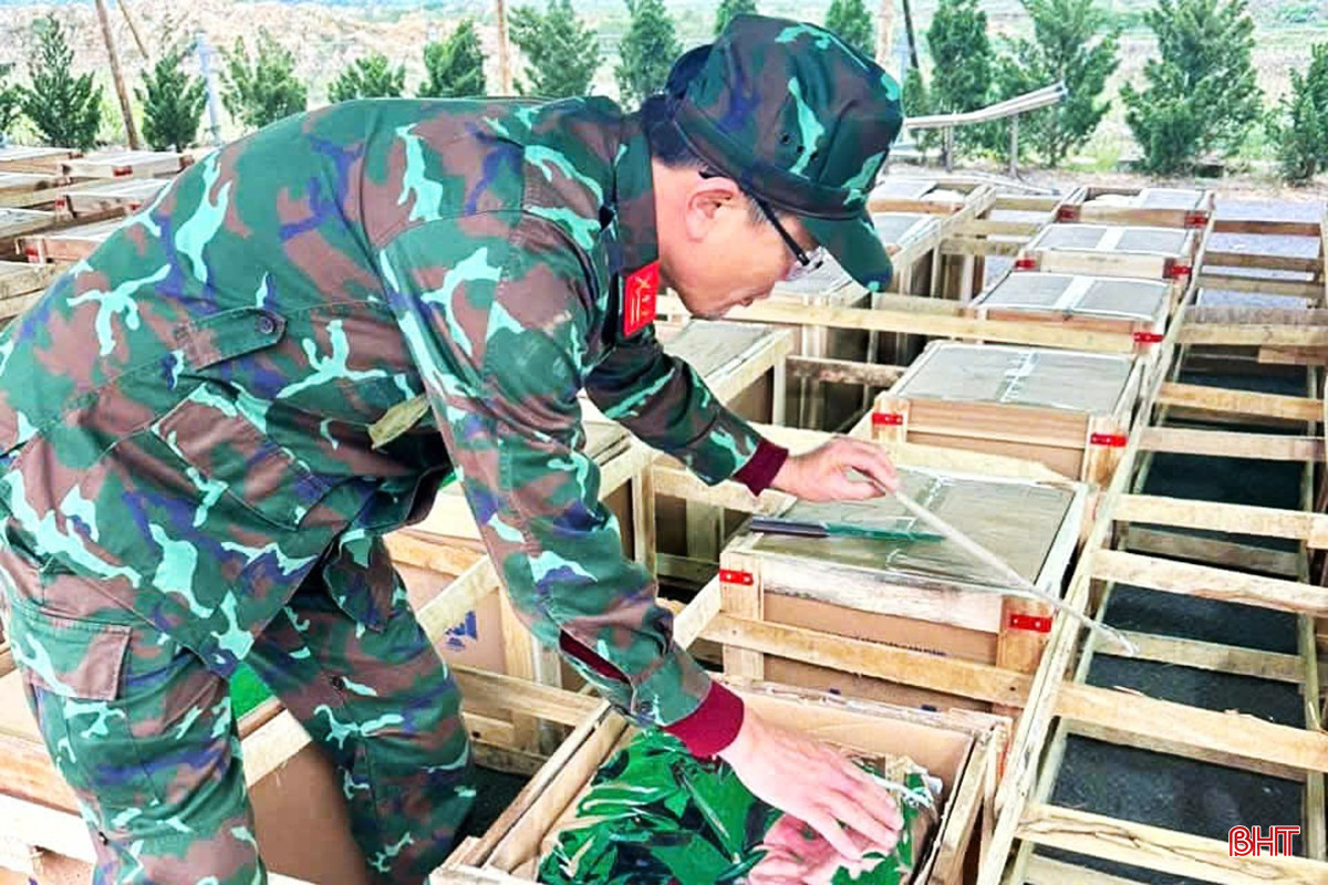 Chào năm mới Ất Tỵ 2025, TX Hồng Lĩnh tổ chức bắn pháo hoa tầm thấp vào đêm Giao thừa tại Quảng trường Trung tâm thị xã (phường Bắc Hồng).