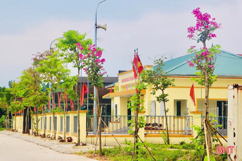 Cùng với các tuyến đường hoa, nhà văn hoá TDP, cơ quan, trường học cũng được trồng nhiều hoa và cây xanh đô thị. bqbht_br_dt-hoa-ban-nvh-tdp.jpg