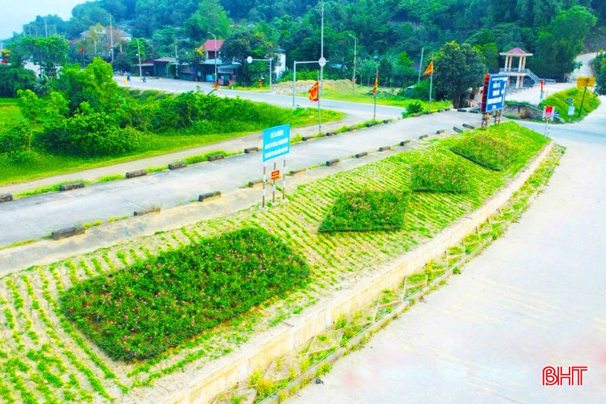 Thảm hoa trên đường Đào Tấn (phường Trung Lương) do Hội LHPN phường Trung Lương trồng và chăm sóc. bqbht_br_duong-hoa-trung-luong.jpg