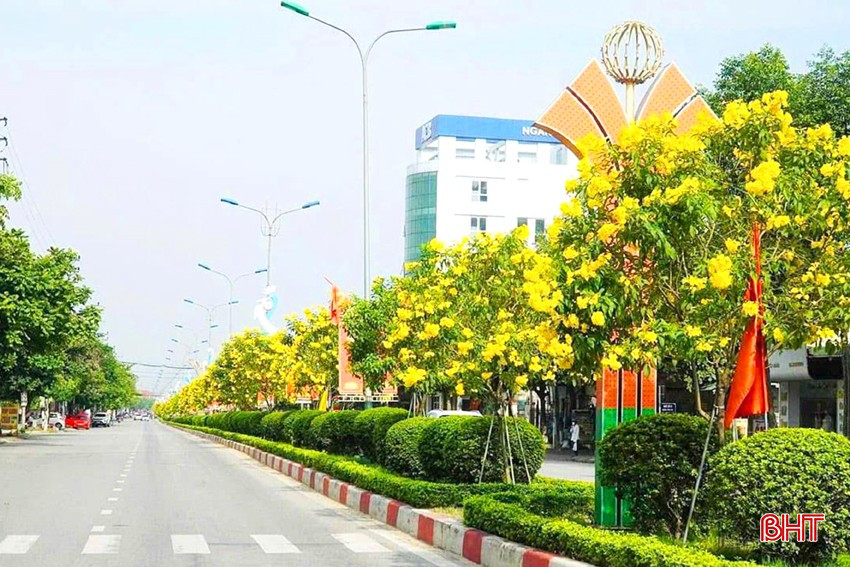 Hoa Huỳnh Liên nở rộ trên đường Trần Phú. bqbht_br_dt-duong-hoa-do-thi.jpg