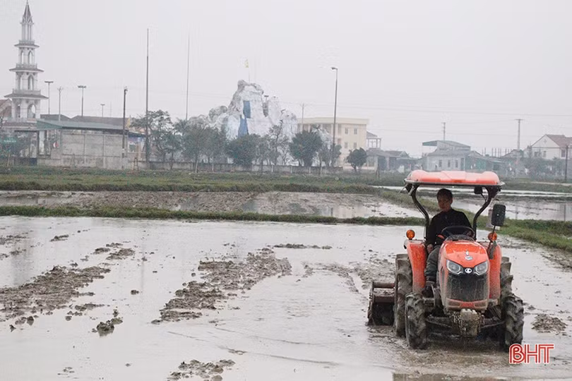 Nông dân Hà Tĩnh “dệt mùa xuân” trên những cánh đồng