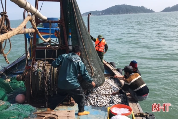 Bắt tàu giã cào khai thác hải sản sai vùng biển quy định