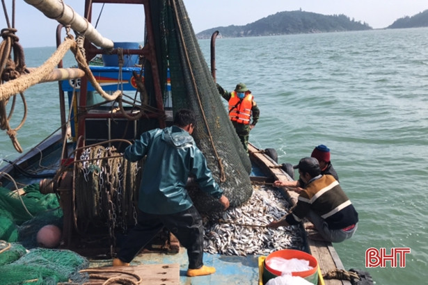 Bắt tàu giã cào khai thác hải sản sai vùng biển quy định