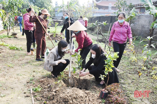 Trồng 1.000 cây xanh và hỗ trợ 10 mô hình sinh kế cho phụ nữ ở Lộc Hà