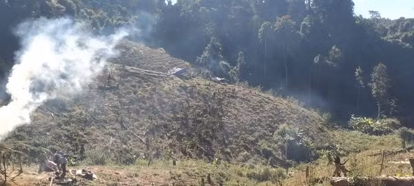 Phát hiện thêm diện tích lớn trồng cần sa dọc biên giới Lào - Việt Nam